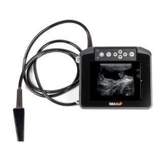 Tragbares Veterinär-Ultraschallgerät - ImaGo L&C - IMV Technologies - für Rinder / für Nutztiere / linear