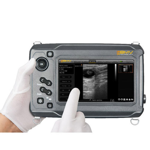 Tragbares Veterinär-Ultraschallgerät - S6 - bmv-vet - für Großtiere / linear / für die Reproduktionsbildgebung
