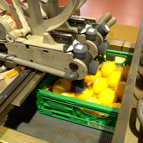 Automatische Etikettiermaschine - Sorma S.p.A. - Anzuchtplatten