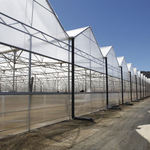 Mehrkuppeliges Gewächshaus - NEW GROWING SYSTEM S.L. - Kunststoff