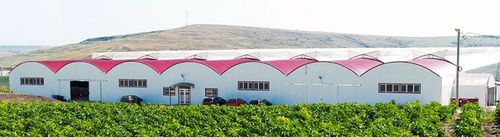 Mehrschiffiges Gewächshaus - APW series - NOVAGRIC (Novedades Agrícolas, S.A.) - mit Stahlstruktur / permanent