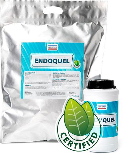 Organischer Dünger - Endoquel - Quimicas Meristem S.L. - Spurenelemente / stark borhaltig / stark eisenhaltig