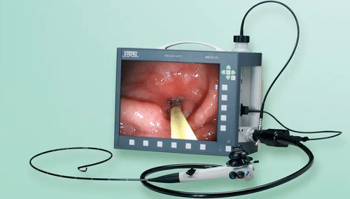 Bildschirm für die tierärztliche Bildgebung für Endoskopkamera - SILVER SCOPE® - KARL STORZ ENDOSKOPE