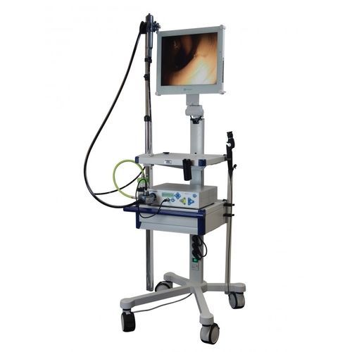 Flexibles Endoskop für Veterinärmedizin - COMPACT - optomed - für Kleintiere / Verdauungstrakt / Urin