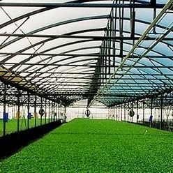 Silagefolie - INDASOL ANTITHERMAL - Solplast S.A. - UV-resistent / Kühleffekt / recycelbar