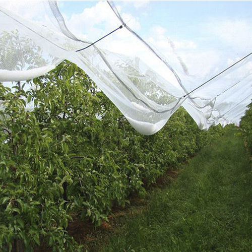 Hagelschutznetz - AGRONEW CO., LTD - Beschattung / Windschutz / HDPE