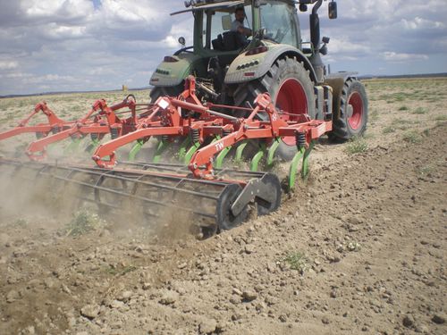 Montierter Grubber - MiniTILLER - Vomer - zusammenklappbar / stationär / mit Dreipunktanbau
