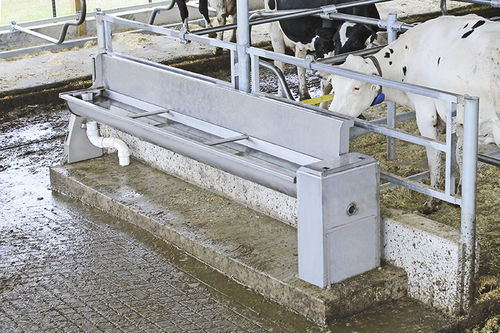 Tränke für Rinder - Sturdy Built Manufacturing,LLC - Trog / Edelstahl / Multi-Access