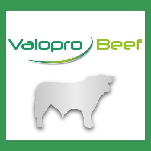 Nahrungsergänzungsmittel für Tiere - Valopro Beef - MiXscience - für Fleischrind / Protein / trocken