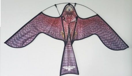 Visuelle Vogelscheuche - N0308 - AgriProTech - für Vögel