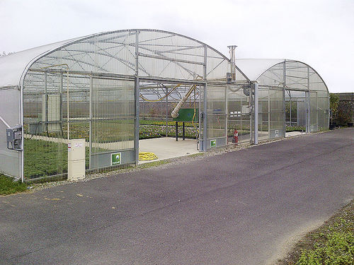 Tunnel-Gewächshaus - VERTICLAIR - FILCLAIR SAS - Kunststoff / mit Stahlstruktur / mit seitlicher Belüftung