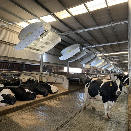 Ventilator für Landwirtschaftsgebäude - YNF1400B2-081-00 - Guangdong Fans-tech Agro Co., Ltd - für Milchkuhhof / für Feldspritzen / für Silo