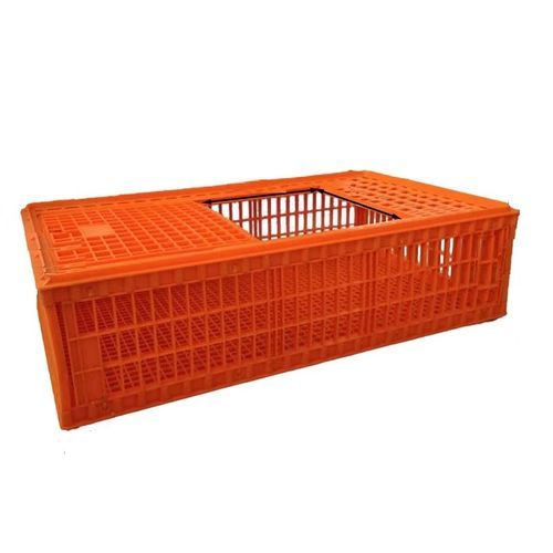 Transportkäfig für Hühner - Cangzhou Phoenix Breeding Equipment Co., Ltd.