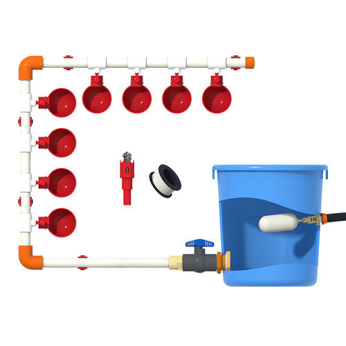 Tränke für Geflügel - DIY - Cangzhou Phoenix Breeding Equipment Co., Ltd. - Schale / automatisch / Kunststoff