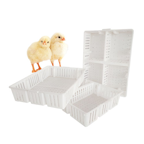 Transportkäfig für Enten - Cangzhou Phoenix Breeding Equipment Co., Ltd. - für Küken / für Rebhühner / Kunststoff