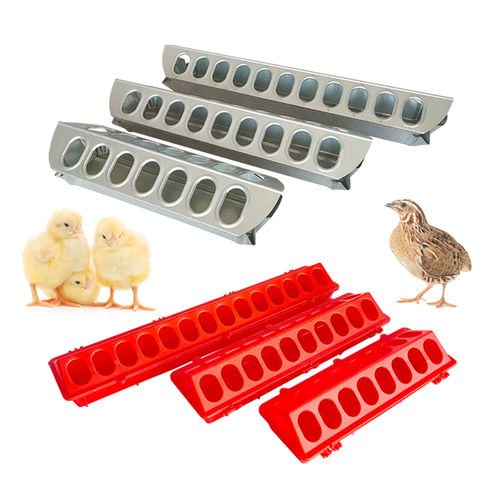 Futtertrog für Küken - Cangzhou Phoenix Breeding Equipment Co., Ltd. - für Tauben / Kunststoff / Metall