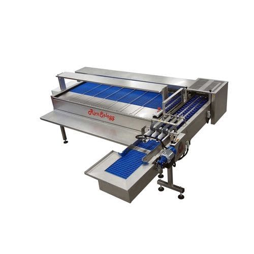 Eier-Kalibrierer - S91 - RIVA SELEGG SRL - mit Eierdurchleuchtung