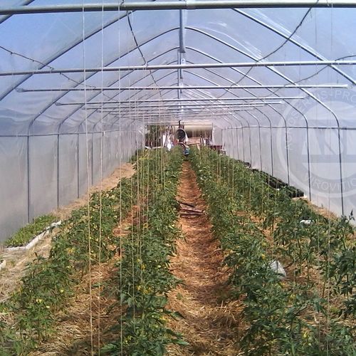Eintunneliges Gewächshaus - Agroservis - proizvodnja d.o.o. - für Hobbygärten / mit Stahlstruktur / permanent