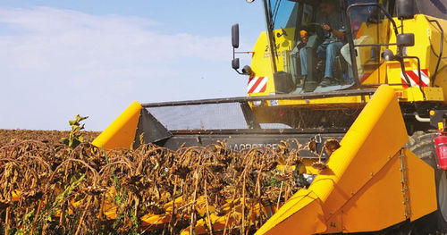 Sonnenblumenerntevorsatz - AHT6 - AGRO TIGER - hart
