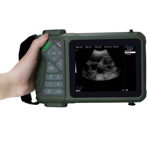 Veterinär-Ultraschallgerät / Handgerät - Elite - Dawei Veterinary Medical (jiangsu) co., ltd. - für Großtiere / für Kleintiere / linear