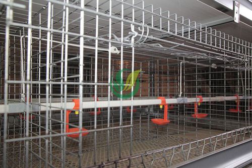 Geflügeltränke - Chengdu Shengxing Poultry Machinery Co., Ltd. - Kunststoff / Multi-Access / mit Sauger