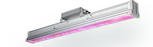 Beleuchtung für Gewächshaus - hawk - Fujian Sanan SINO-SCIENCE Photobiotech Co., Ltd. - LED