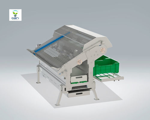 Gemüsesortierer - SC001 - DARI ECOMECCANICA Srl - Schwerkraft
