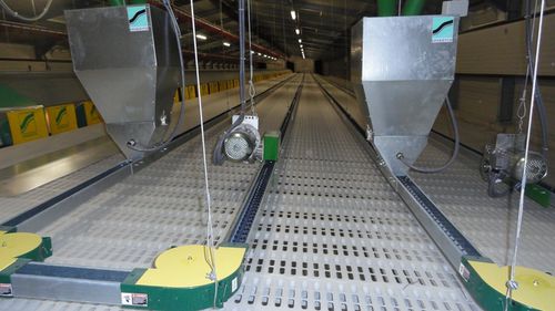 Automatisches Fütterungssystem / Ketten - FLAT - SPEROTTO S.p.A. - Geflügel / Trichter