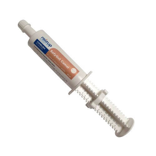 Nahrungsergänzungsmittel für Tiere - SafyGut Camel - RAIZUP NUTRITION CARE - für Kälber / mit ätherischen Ölen / Gel