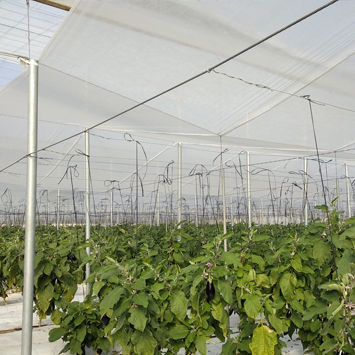 Bindegarn für die Landwirtschaft / Saatträger - Fabricación de agrotextiles y distribución de Accesorios para Invernaderos. - Gartenbau