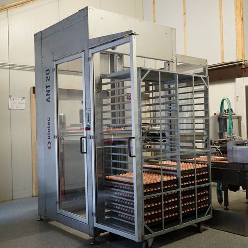 Brutei Eiertransfersystem - ANT20 - KLETEC BV - automatisch