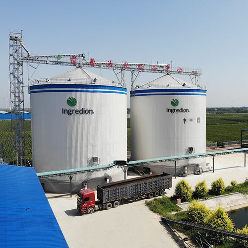 Silo mit flachem Boden - Dongying Fengtu Intelligent Storage Co., Ltd - für Getreide / für Grieß / für Weizenkleie