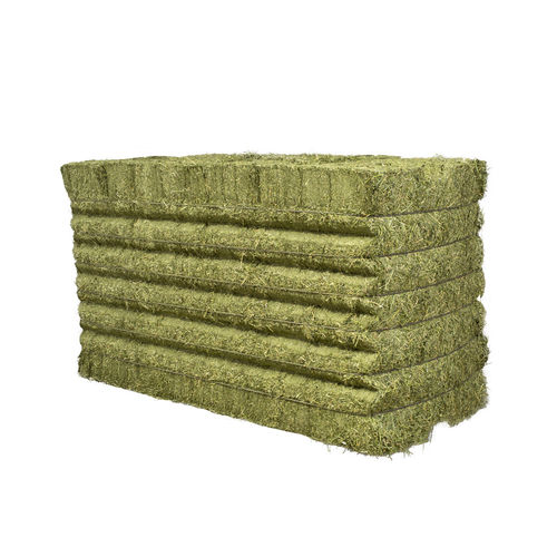 Viehfutter für Tiernahrung - Gruppo Carli - Luzerne