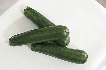 Sehr früher Zucchinisamen - KIMBER F1 - Graines Voltz - Voltz Horticulture - Sommer / hybrid / zylinderförmig