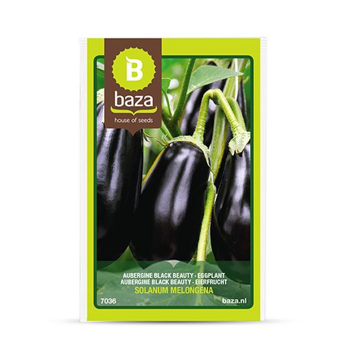 Früher Auberginensamen - 7036 - BAZA Seeds Holland b.v.