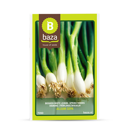 Frühlingszwiebelsaat - 7050 - BAZA Seeds Holland b.v.