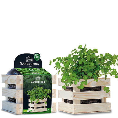 Biologische Koriandersaat - 1807767 - BAZA Seeds Holland b.v.