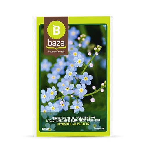 Blumensaat / einjährige Pflanze - Myosotis des Alpes - BAZA Seeds Holland b.v. - gelb / blau / Massiv