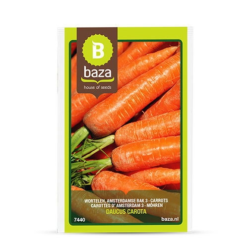 Konische Möhrensaat - Amsterdamse bak 3 - BAZA Seeds Holland b.v.