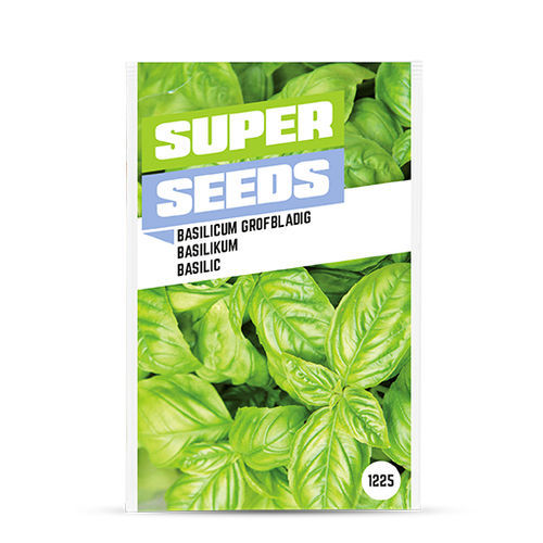 Biologische Basilukumsaat - 1225 - BAZA Seeds Holland b.v.