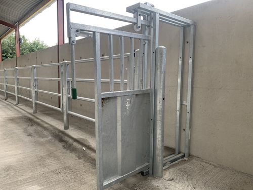 Schranke für Zuchtzwecke - Condon Engineering - für Treibgänge / für Kühe / Stahl
