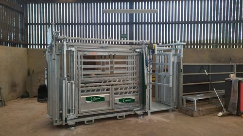 Behandlungskäfig für Kühe - Vet Box Extension - Condon Engineering - mobil / mit variabler Breite