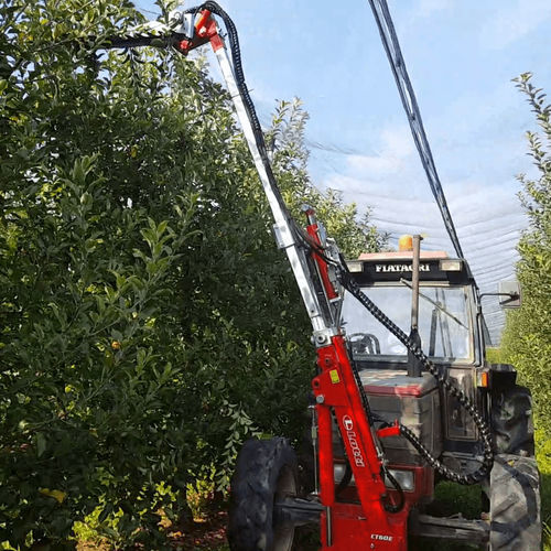Schneidemaschine für Obstgärten - CT 60 - CABA INDUSTRIE Srl - für Weinbau / traktormontiert / angebaut