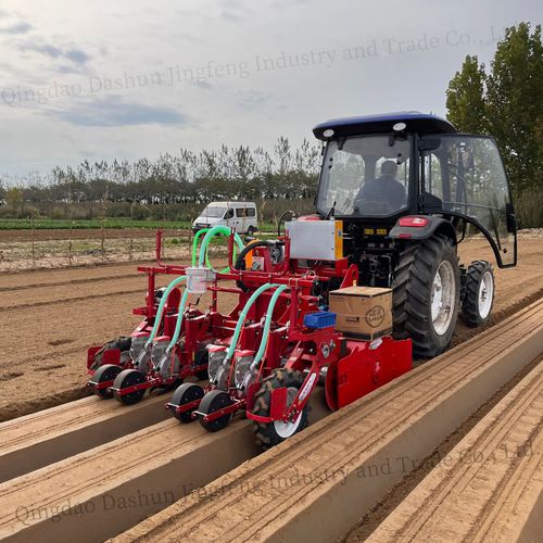 Pneumatische Einzelkornsämaschine - 2BS-4H - Qingdao Dashun Jingfeng Agricultural Machinery Co., Ltd. - 4 Reihen / Gemüse / mit Dreipunktanbau