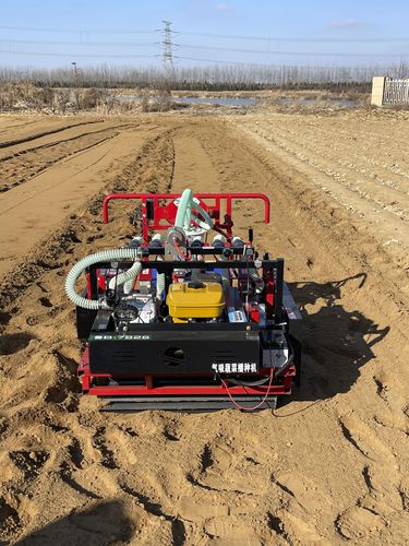 Pneumatische Einzelkornsämaschine - 2BSG-8H - Qingdao Dashun Jingfeng Agricultural Machinery Co., Ltd. - 8 Reihen / Gemüse / handgeführt