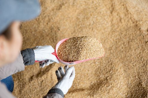 Säuerungsmittel-Futterzusatz - PANSAN - Novagrar GmbH & Co. KG - für Rinder / Pulver