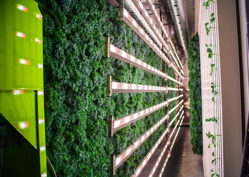 Hydroponik-System / Container - ZipPod - ZipGrow - für große Pflanzenkultur / automatisiert / für den Innenraum