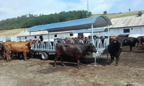 Raufe für Rinder - EXTA41.6110 - AHI - FARM CAMARA - Edelstahl / Multi-Access / anhängermontiert