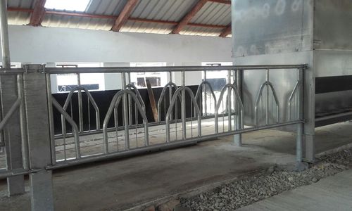 Außenraufe - EXTA30.3000 - AHI - FARM CAMARA - für Rinder / Metall / Multi-Access
