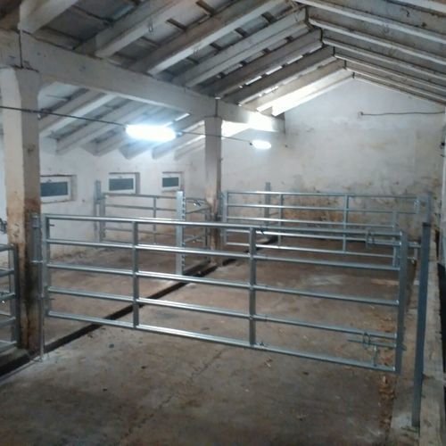 Schranke für Zuchtzwecke - GATG420 - AHI - FARM CAMARA - für Stallhaltung / für Kühe / Edelstahl